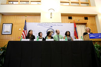 International Public Service Project Panel