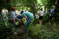Our House Service Day